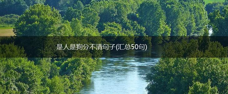 是人是狗分不清句子(汇总50句),第1张