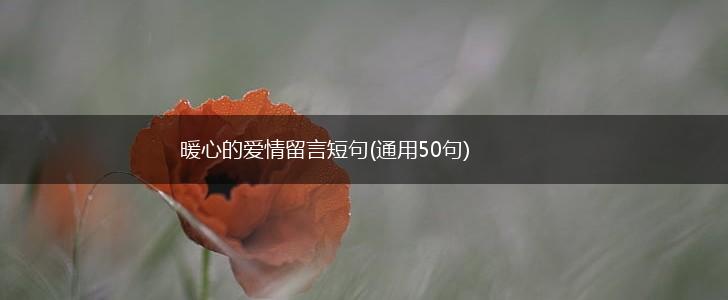 暖心的爱情留言短句(通用50句),第1张