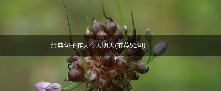 经典句子昨天今天明天(推荐51句),第1张