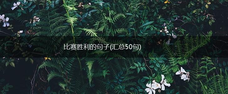 比赛胜利的句子(汇总50句),第1张
