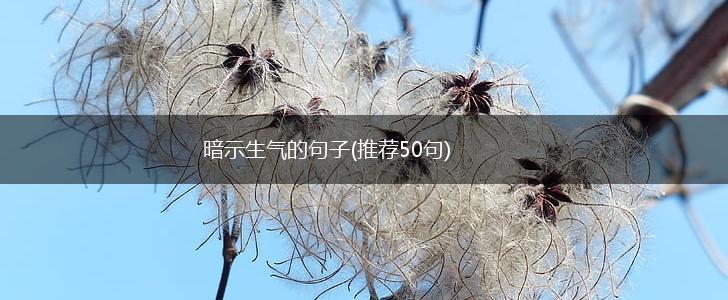 暗示生气的句子(推荐50句),第1张