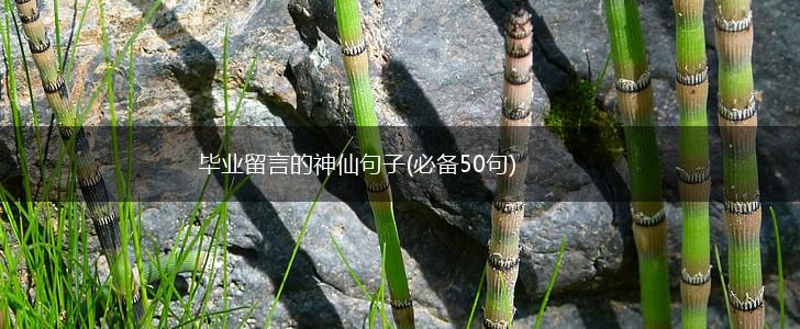 毕业留言的神仙句子(必备50句),第1张