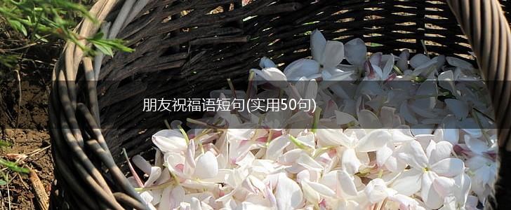 朋友祝福语短句(实用50句),第1张
