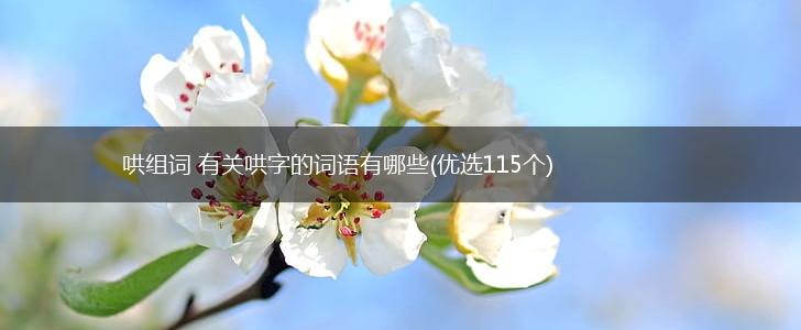 哄组词 有关哄字的词语有哪些(优选115个),第1张