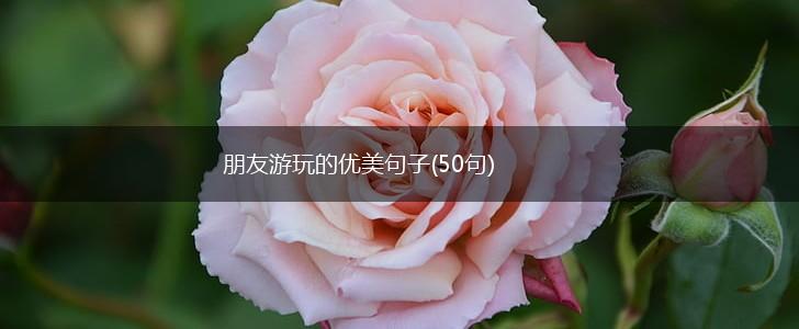 朋友游玩的优美句子(50句),第1张