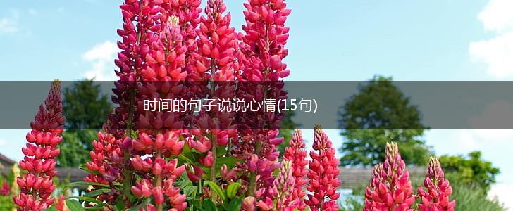 时间的句子说说心情(15句),第1张