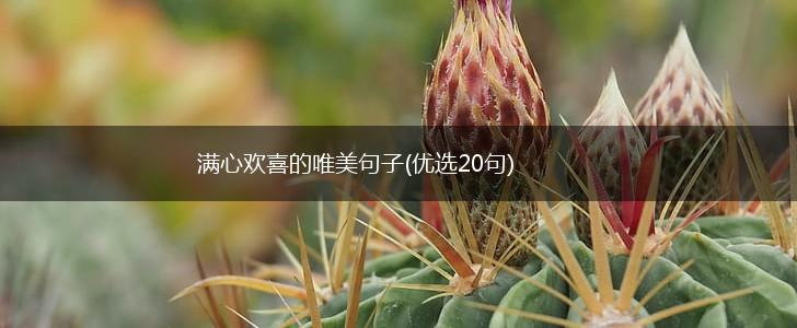 满心欢喜的唯美句子(优选20句),第1张