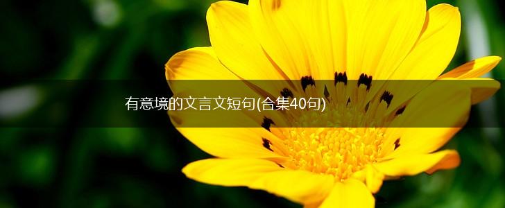 有意境的文言文短句(合集40句),第1张