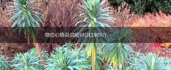 微信心情说说短句(共190句),第1张
