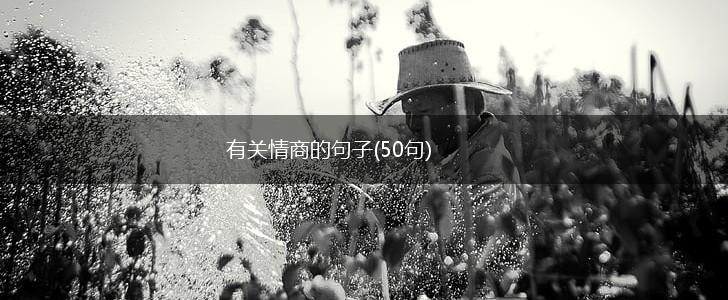 有关情商的句子(50句),第1张