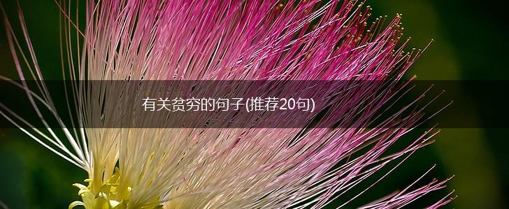有关贫穷的句子(推荐20句),第1张