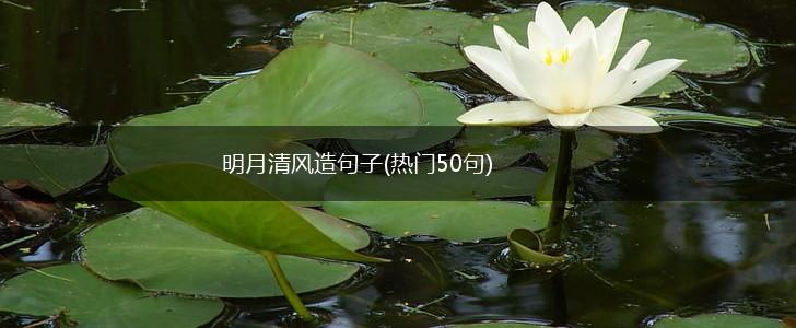 明月清风造句子(热门50句),第1张