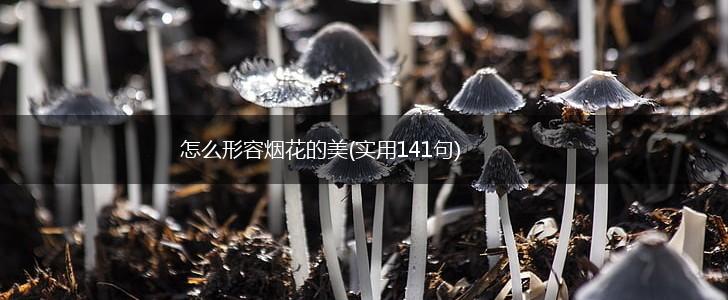 怎么形容烟花的美(实用141句),第1张