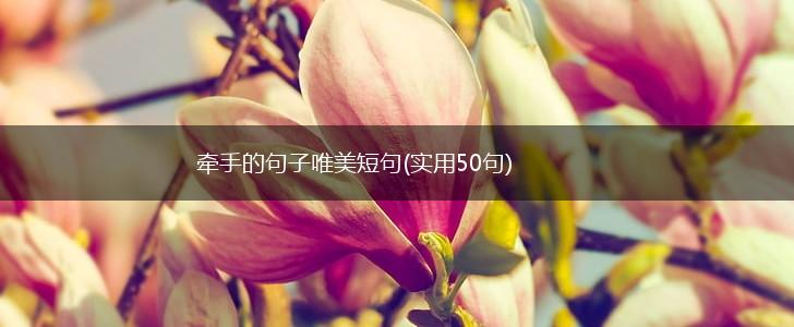 牵手的句子唯美短句(实用50句),第1张