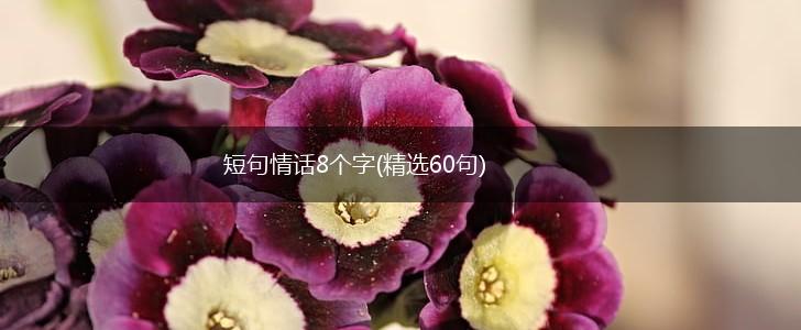 短句情话8个字(精选60句),第1张