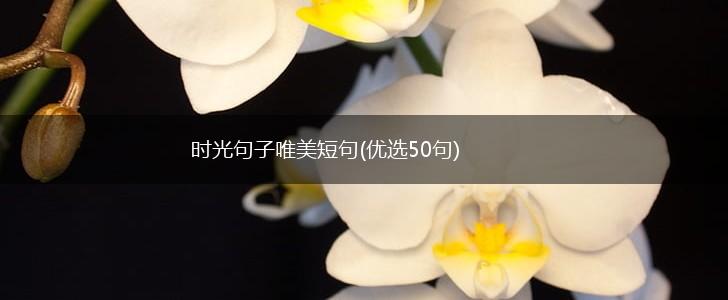 时光句子唯美短句(优选50句),第1张