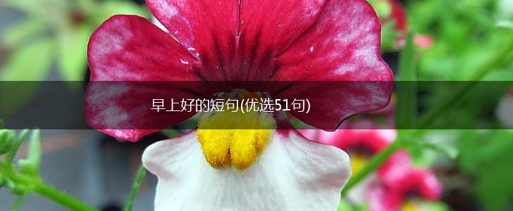 早上好的短句(优选51句),第1张