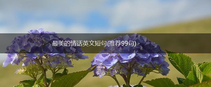 最美的情话英文短句(推荐99句),第1张