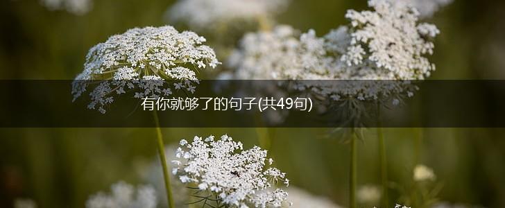 有你就够了的句子(共49句),第1张