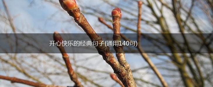 开心快乐的经典句子(通用140句),第1张