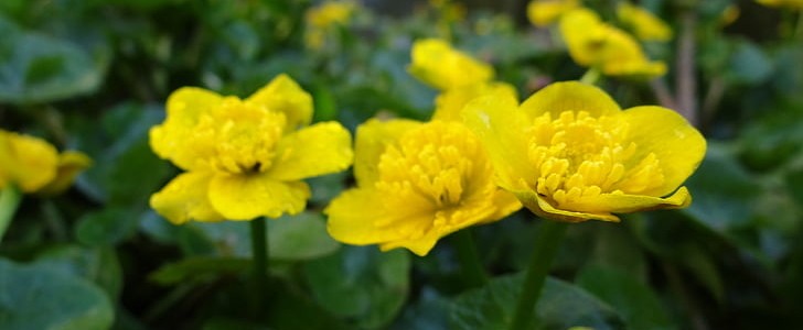 形容爱情的唯美句子(共190句),第2张 形容爱情的唯美句子(共190句),第2张