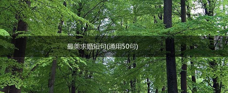 最美求婚短句(通用50句),第1张