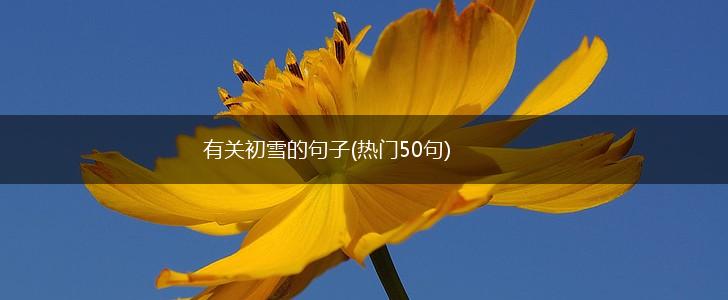 有关初雪的句子(热门50句),第1张