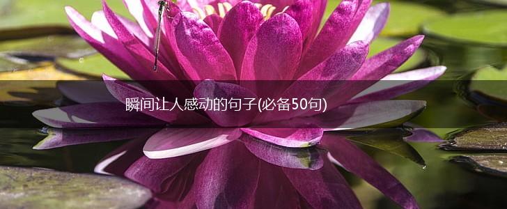 瞬间让人感动的句子(必备50句),第1张