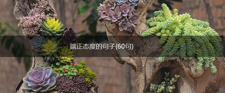 端正态度的句子(60句),第1张
