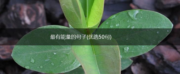 最有能量的句子(优选50句),第1张