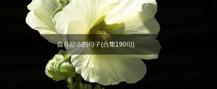 奋斗励志的句子(合集190句),第1张