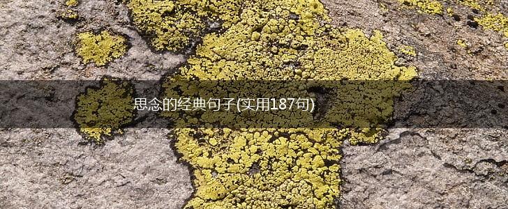 思念的经典句子(实用187句),第1张