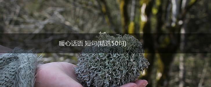 暖心话语 短句(精选50句),第1张