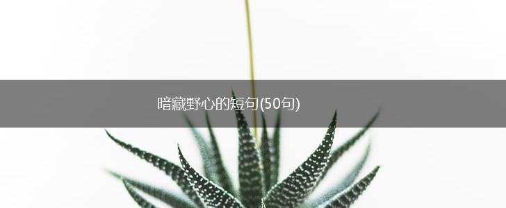 暗藏野心的短句(50句),第1张