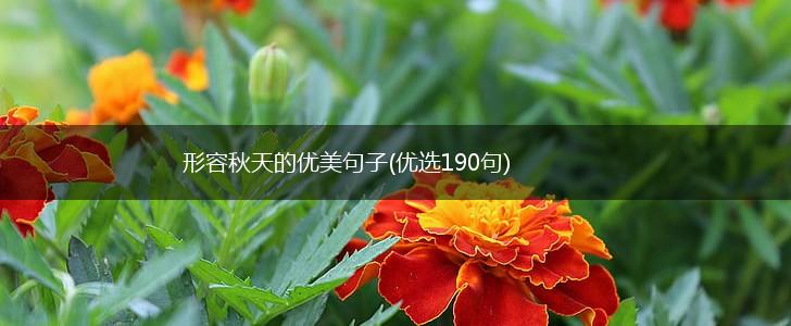 形容秋天的优美句子(优选190句),第1张