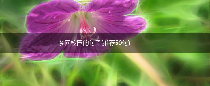 梦回校园的句子(推荐50句),第1张