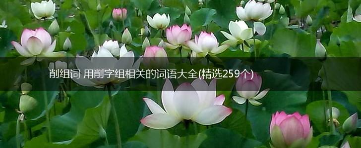 削组词 用削字组相关的词语大全(精选259个),第1张