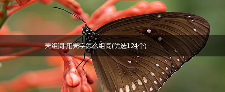 壳组词 用壳字怎么组词(优选124个),第1张