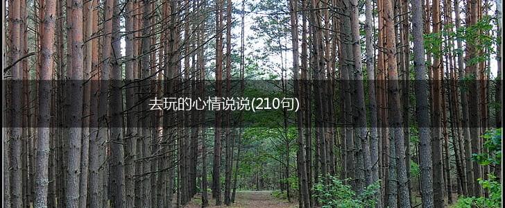 去玩的心情说说(210句),第1张