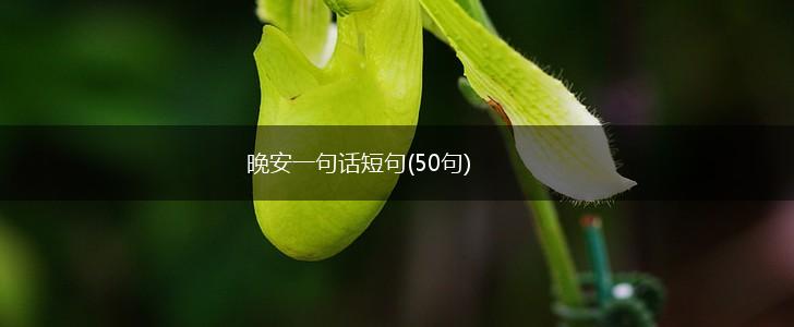 晚安一句话短句(50句),第1张