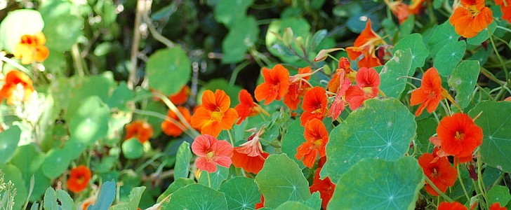 感恩妈妈暖心短句(推荐189句),第3张 感恩妈妈暖心短句(推荐189句),第3张