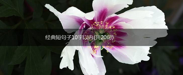 经典短句子10字以内(共20句),第1张