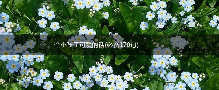 夸小孩子可爱的话(必备170句),第1张