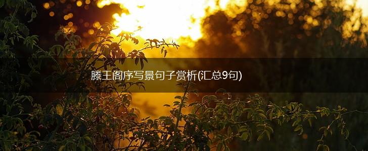 滕王阁序写景句子赏析(汇总9句),第1张