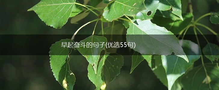 早起奋斗的句子(优选55句),第1张