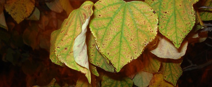 感恩妈妈暖心短句(推荐189句),第2张 感恩妈妈暖心短句(推荐189句),第2张