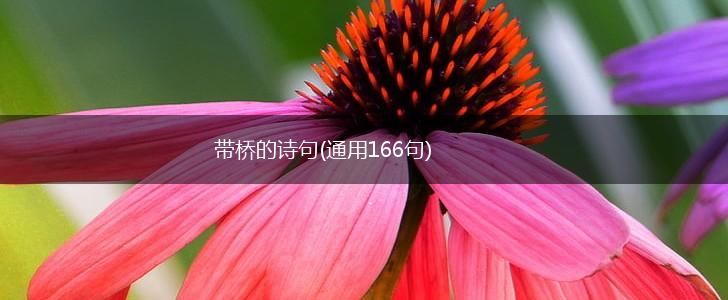 带桥的诗句(通用166句),第1张