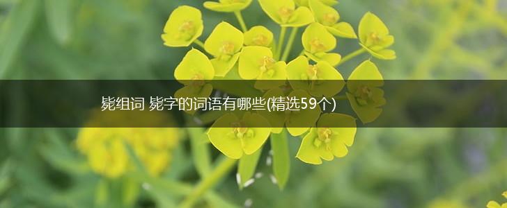 毙组词 毙字的词语有哪些(精选59个),第1张