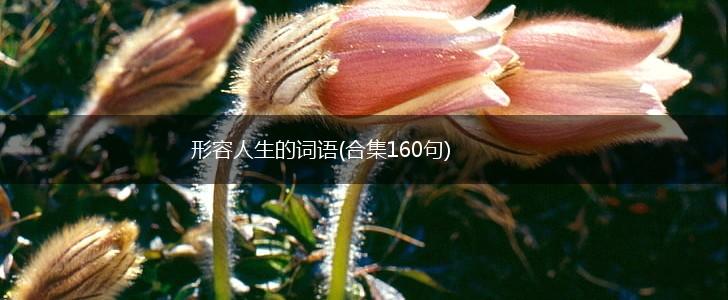 形容人生的词语(合集160句),第1张
