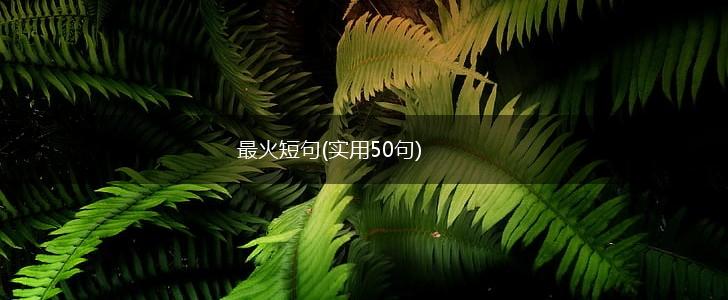 最火短句(实用50句),第1张